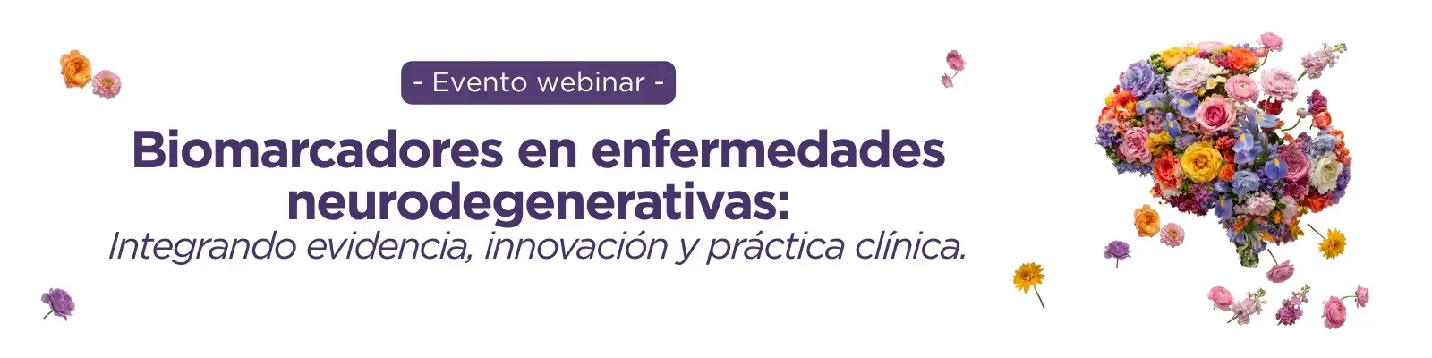 webinar
